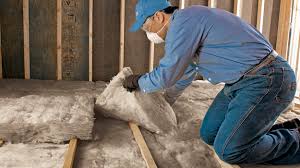 Best Reflective Insulation  in Blasdell, NY