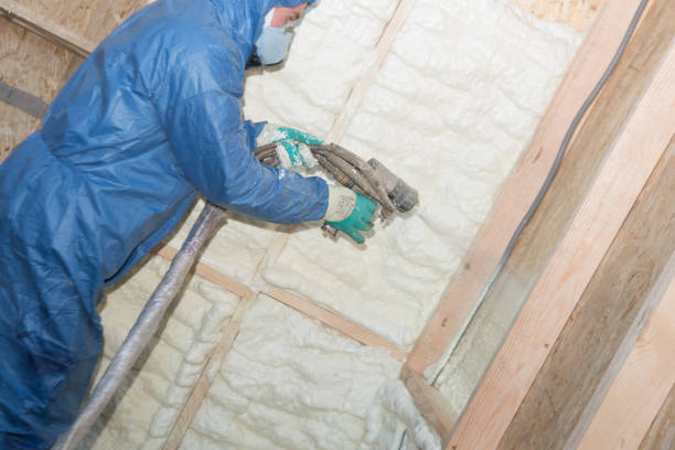 Best Spray Foam Insulation  in Blasdell, NY